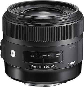 SIGMA - sigma 30mm f1.4 DC Art（pentax用） SIGMA 30mm F1.4 DC ARTを購入。開封、軽い使用感 - ティンクル